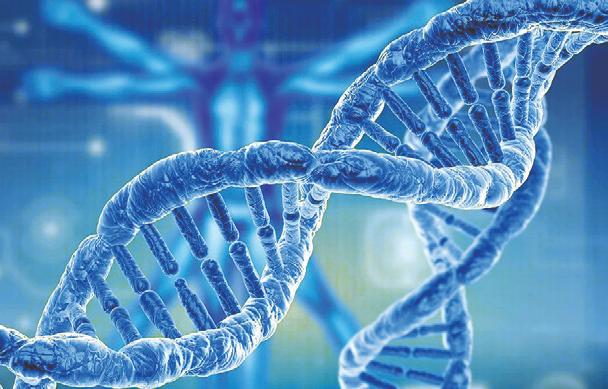 IIT-M and Danish University study reveals genetic 'switches' to transform disease research